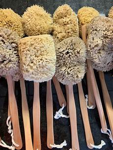 Foam Paint Brush