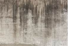 Paint brushes