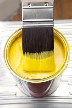 Paint Roller Brush