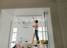 Paint Roller Price