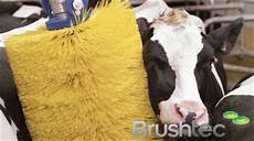 Scratch Brush