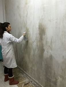 Wall Paint Roller